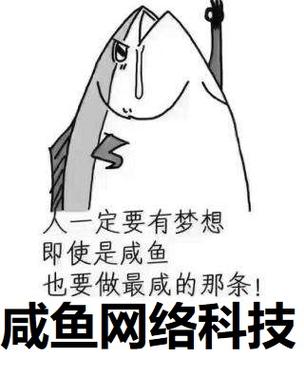 惠州市咸鱼网络科技 以“咸鱼”之名，造数字时代之浪